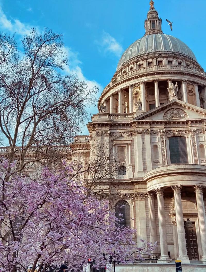 首尔太阳女子大学